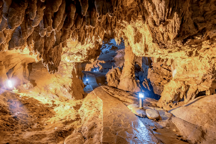 động ngườm ngao