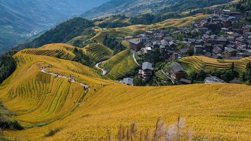 ruộng bậc thang long tích quế lâm