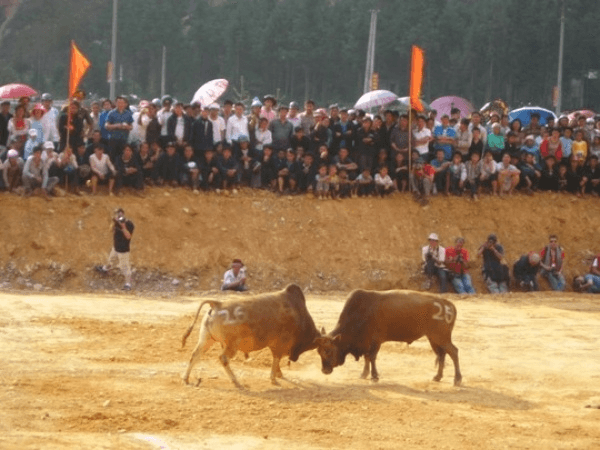 du lịch hà giang