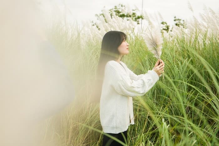 Du lịch biển Sơn Trà, Bán đảo Sơn Trà