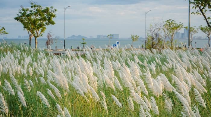 Du lịch biển Sơn Trà, Bán đảo Sơn Trà