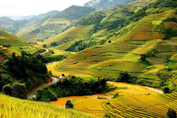 ruộng bậc thang chế cu nha