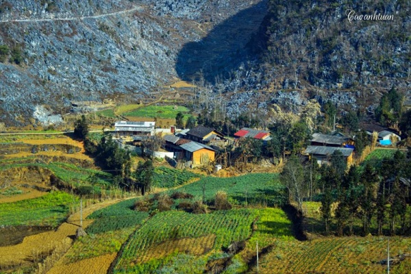 mộc sa hà giang
