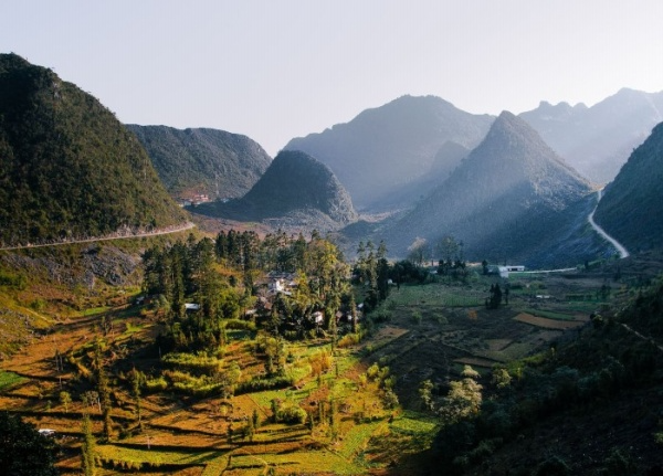 cây mộc sa hà giang
