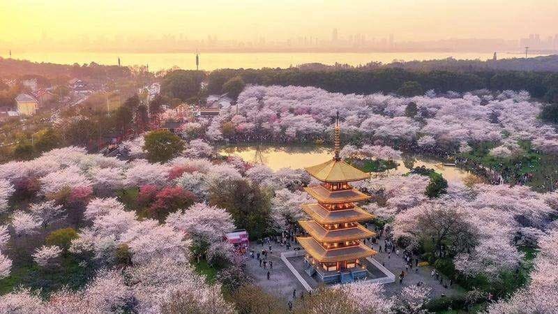 Tour Trung Quốc: Vũ Hán - Quảng Châu 4 ngày 3 đêm từ Hà Nội