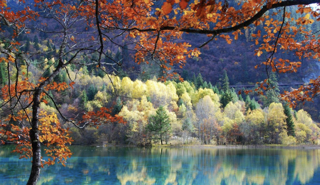 Hồ ngũ sắc Cửu Trại Câu – nơi cảnh sắc thiên nhiên đẹp tựa tranh vẽ