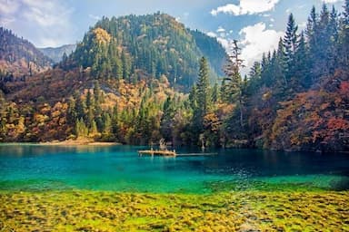 NOTE ngay những kinh nghiệm đi du lịch Cửu Trại Câu chi tiết nhất