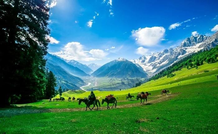 Tìm hiểu Kashmir tháng 7 có gì