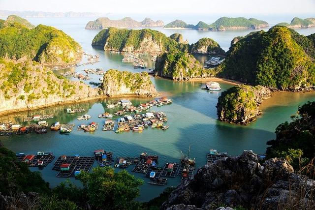Chi tiết lịch trình đi du lịch Cát Bà 3 ngày 2 đêm mới nhất 2025