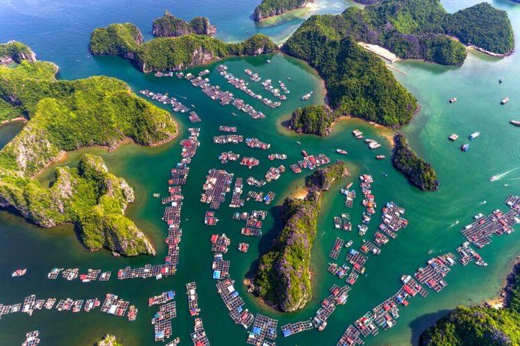 Top 10 địa điểm du lịch Cát Bà hot nhất 2025