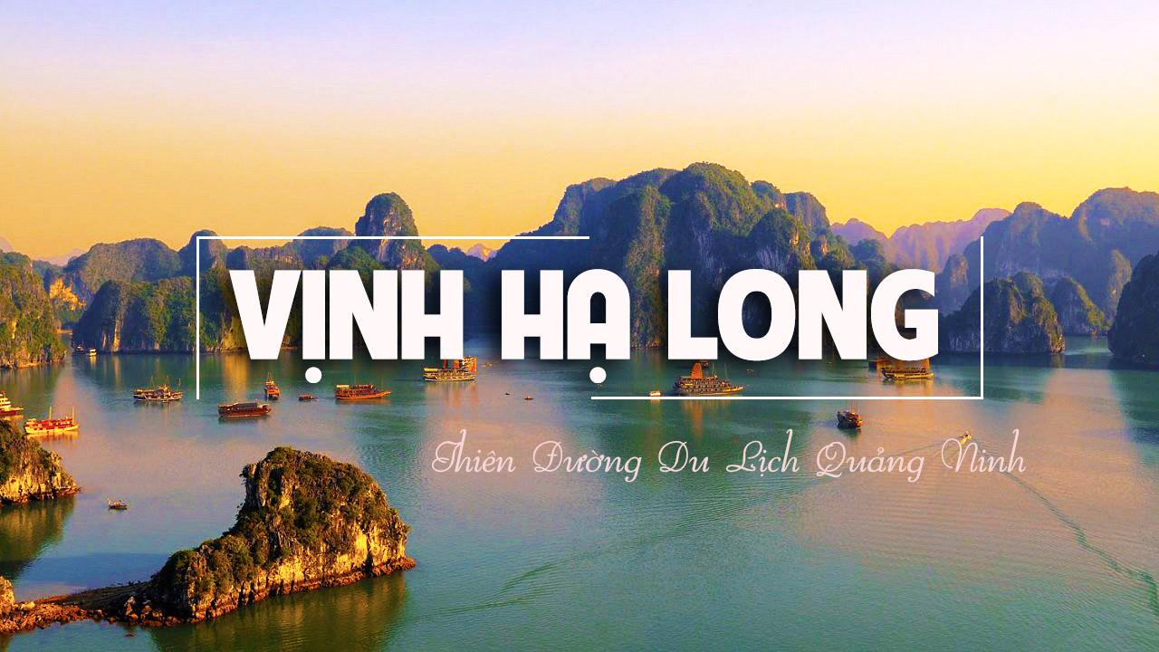 Gợi ý cho bạn đi hết Hạ Long trong 1 ngày