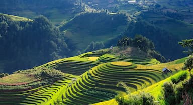 Cách di chuyển từ SaPa đi Mù Cang Chải như thế nào?
