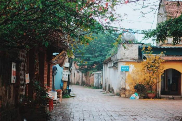 Tour Làng cổ Đường Lâm - Thành cổ Sơn Tây 1 ngày từ Hà Nội