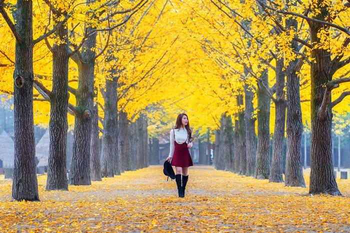 Du lịch Seoul Hàn Quốc mùa thu có đẹp như lời đồn?