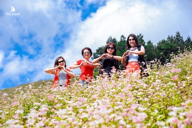 Tết Dương lịch 2026 nghỉ mấy ngày? Bí kíp du lịch cho Tết Tây