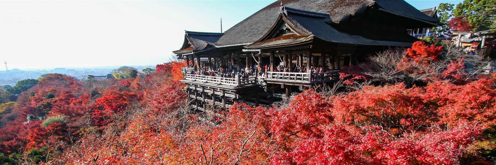 Du lịch Kyoto - Khám phá vẻ đẹp cố đô Nhật Bản