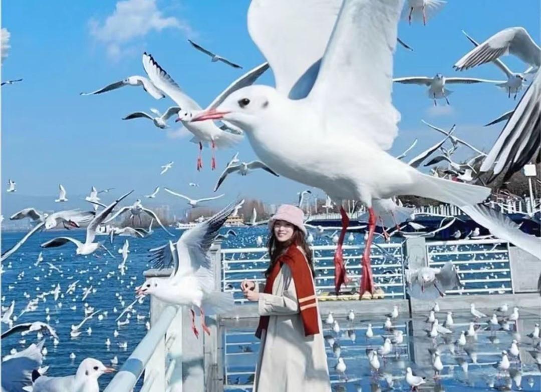 Tour Hà Khẩu - Thạch Lâm - Côn Minh - Núi tuyết Kiệu Tử - Mông Tự 5 ngày 4 đêm từ Hà Nội