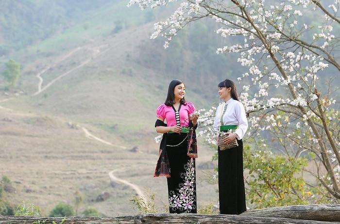 Mùa hoa ban Tây Bắc - Khám phá nét đẹp tinh khôi mãnh liệt vùng cao