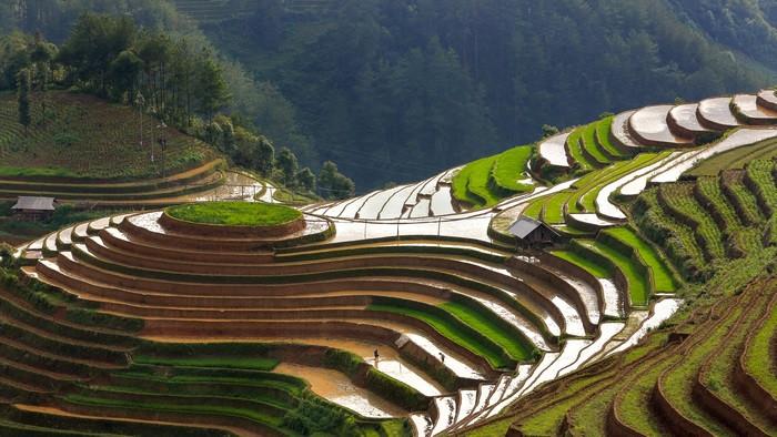 Du lịch Tây Bắc tháng 5 - Chìm đắm trong khung cảnh mùa nước đổ