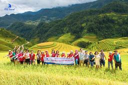 8 Tour mùa lúa chín 2025 chiêm ngưỡng “biển vàng” độc đáo của Việt Nam