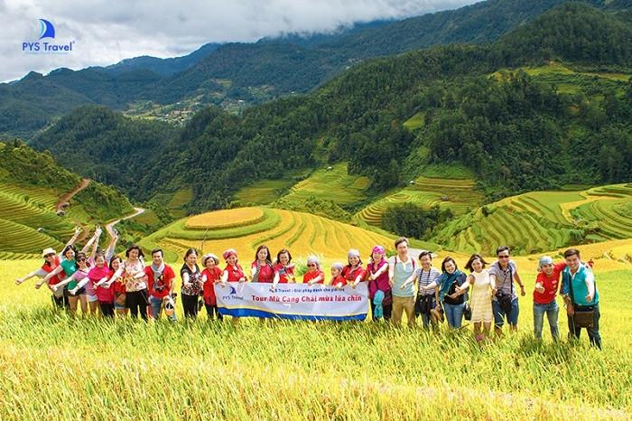 8 Tour mùa lúa chín 2025 chiêm ngưỡng “biển vàng” độc đáo của Việt Nam