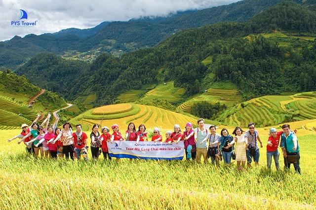 8 Tour mùa lúa chín 2025 chiêm ngưỡng “biển vàng” độc đáo của Việt Nam