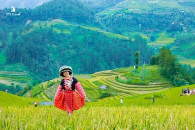 Bỏ túi các địa điểm cực chill - Nơi ngắm lúa chín dịp 2-9 hết sẩy