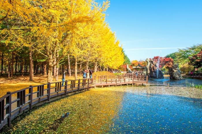 10 điểm du lịch mùa thu ngắm trọn mùa lá vàng Hàn Quốc 2025