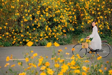 Tháng 9 nên đi du lịch ở đâu? Top 13 điểm đến “chill quên lối về”