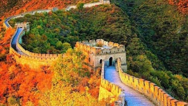 Du lịch Trung Quốc tháng 9/2026 - Mãn nhãn với cảnh sắc nhuộm vàng