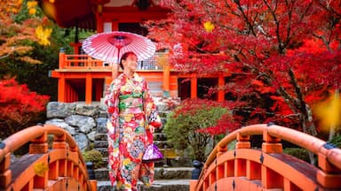 Đi tour du lịch Nhật Bản mùa thu để chạm tay vào sắc thu rực rỡ