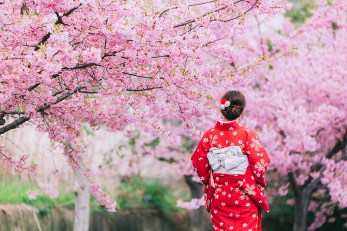 Tour Nhật Bản mùa hoa anh đào: Tokyo - Phú Sĩ - Nagoya - Kyoto - Osaka 6 ngày 5 đêm từ Hà Nội
