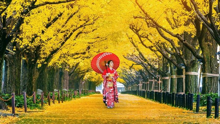 Tour Nhật Bản mùa thu 2025: Osaka - Kyoto - Nagoya - Phú Sĩ - Tokyo 6 ngày 5 đêm từ Hà Nội