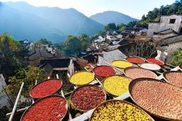 Tour Trung Quốc: Chiết Giang - Giang Tây - Hoàng Sơn - Vụ Nguyên - Vọng Tiên Cốc - Hoành Điếm - Hàng Châu 5 ngày 4 đêm từ TP.HCM
