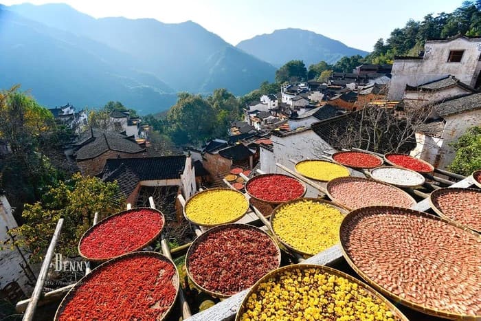 Tour Trung Quốc: Chiết Giang - Giang Tây - Hoàng Sơn - Vụ Nguyên - Vọng Tiên Cốc - Hoành Điếm - Hàng Châu 5 ngày 4 đêm từ TP.HCM