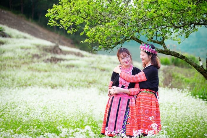 Tour Mộc Châu 2 ngày 1 đêm từ Hà Nội - Tết Dương Lịch 2026