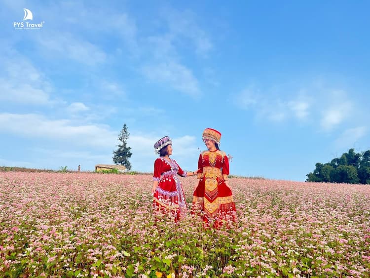 Tour Hoàng Su Phì - Bắc Hà 3 ngày 2 đêm từ Hà Nội - Tết Dương Lịch 2026