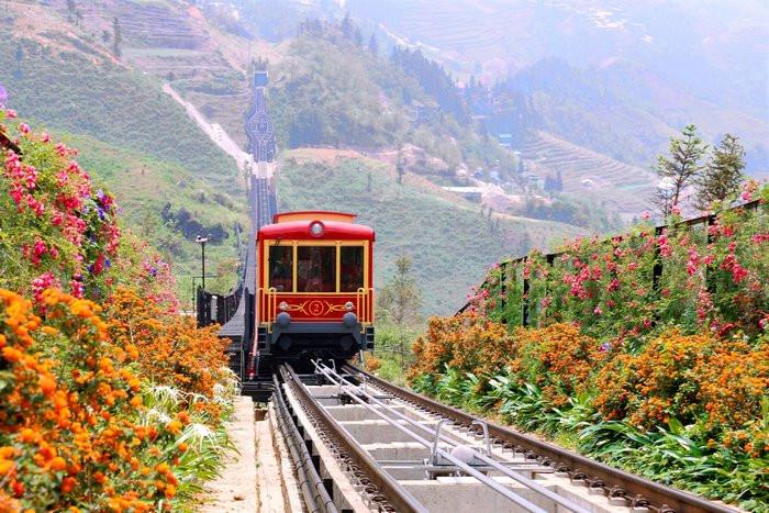 Tàu Mường Hoa Sapa: Trải nghiệm thú vị và giá vé mới nhất