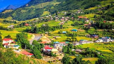 Tổng hợp kinh nghiệm đi bản Cát Cát Sapa mới nhất nhất dành cho bạn