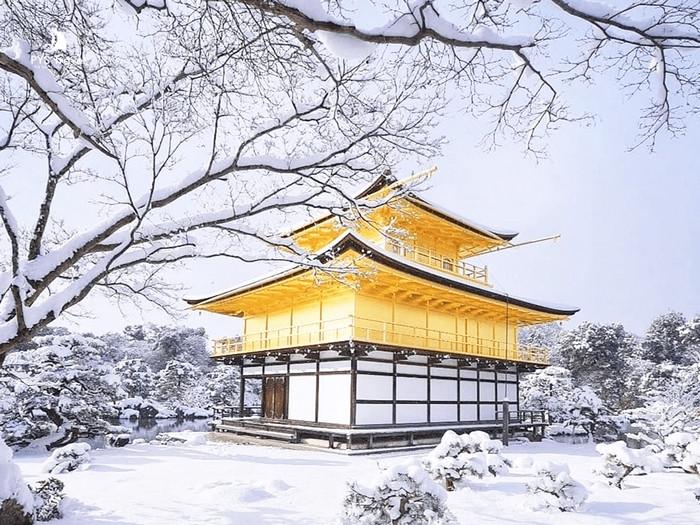 Tour Nhật Bản: Osaka - Kyoto - Nagoya - Phú Sĩ - Tokyo 5 ngày 4 đêm từ TP.HCM - Tết Dương Lịch 2026