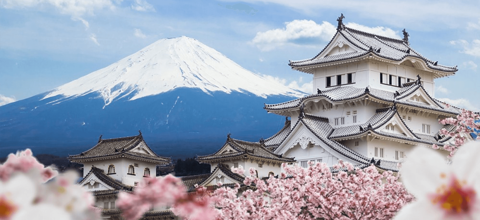 Tour Nhật Bản: Tokyo - Phú Sĩ - Nagoya - Kyoto - Osaka 5 ngày 5 đêm từ TP.HCM - Tết Nguyên Đán 2026