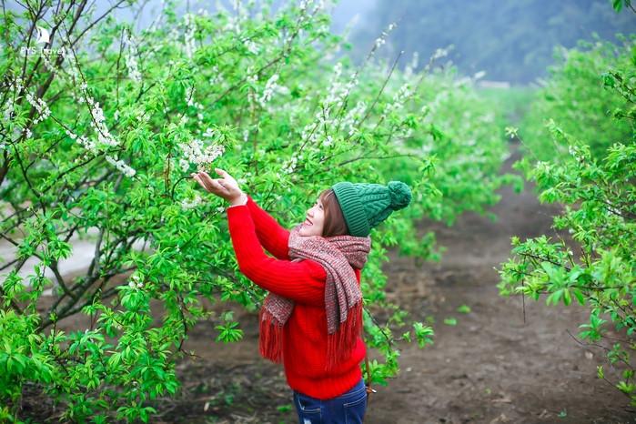 Tour Mộc Châu 3 ngày 3 đêm từ TP.HCM - Tết Nguyên Đán 2025