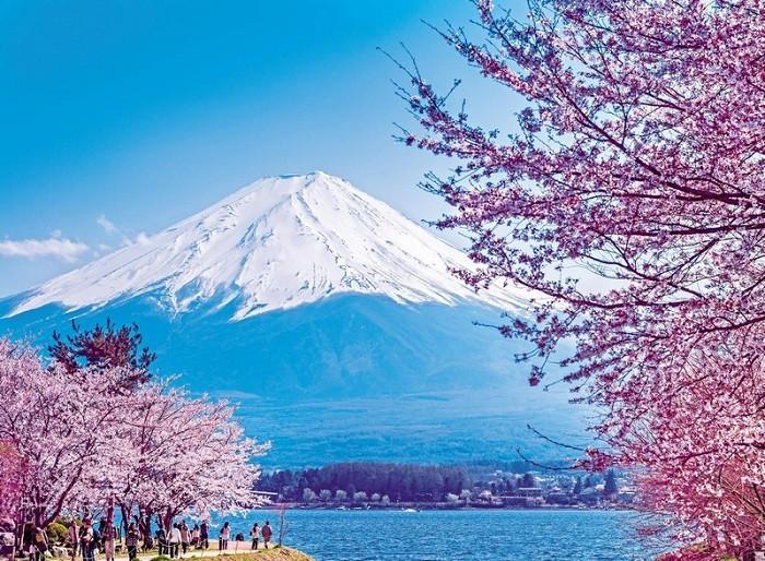 Tour Nhật Bản ngắm hoa đào: Tokyo - Phú Sĩ - Nagoya - Kyoto - Osaka 5 ngày 5 đêm từ TP.HCM - Tết Nguyên Đán 2026