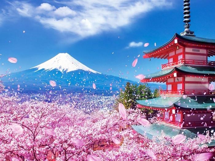 Tour Nhật Bản: Osaka - Kyoto - Nagoya - Núi Phú Sĩ - Tokyo 5 ngày 5 đêm từ TP.HCM - Tết Nguyên Đán 2026