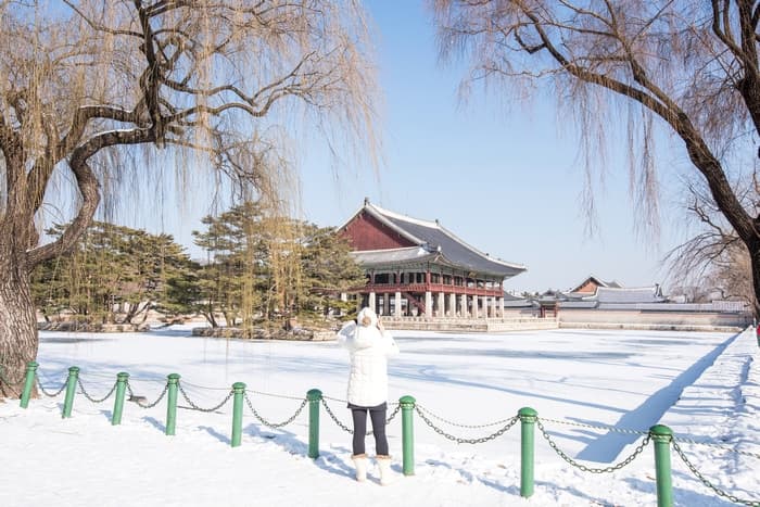 Tour Hàn Quốc: Busan - Daegu - Seoul 6 ngày 5 đêm từ TP.HCM - Tết Nguyên Đán 2026