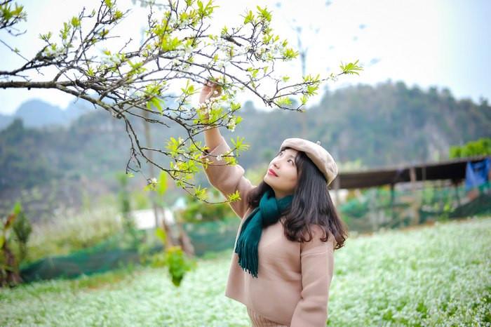 Thời tiết Mộc Châu mùa đông