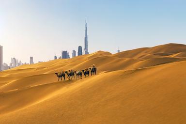 Du lịch Safari Dubai để trải nghiệm hành trình "Giấc mơ phương Đông"