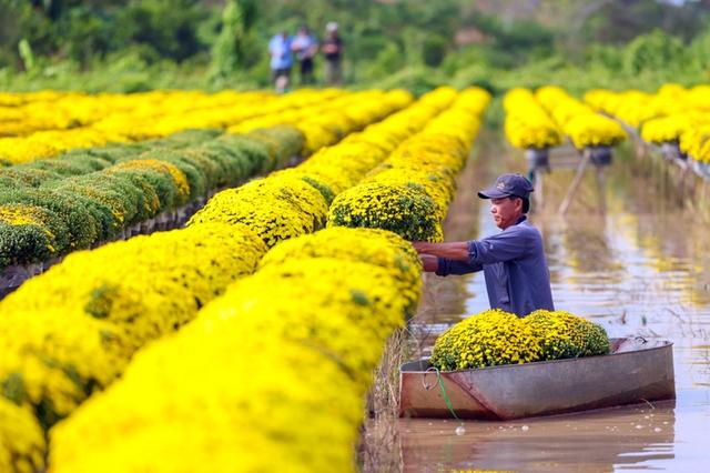 Tháng 2 nên đi du lịch ở đâu miền Nam? Gợi ý Du xuân đầu năm cho cả gia đình