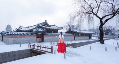 Đi du lịch Hàn Quốc dịp Tết Nguyên Đán 2026 có gì hay?