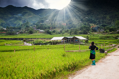 Du lịch bản Tả Phìn Sapa - Địa điểm lý tưởng cho tín đồ mê khám phá